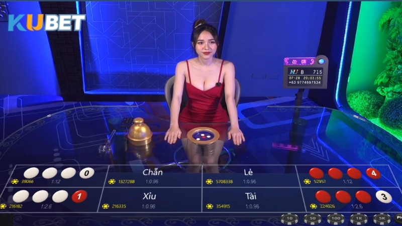 Hướng dẫn thành viên nhà cái Kubet đăng ký đại lý