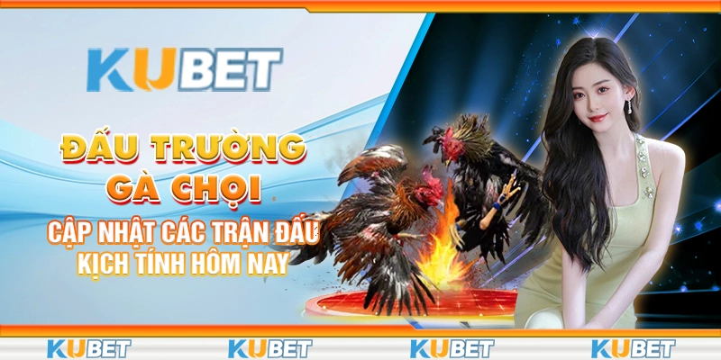 Đấu Trường Gà Chọi